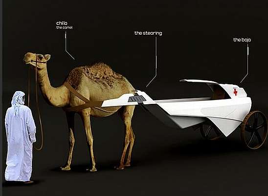 camel ambulance